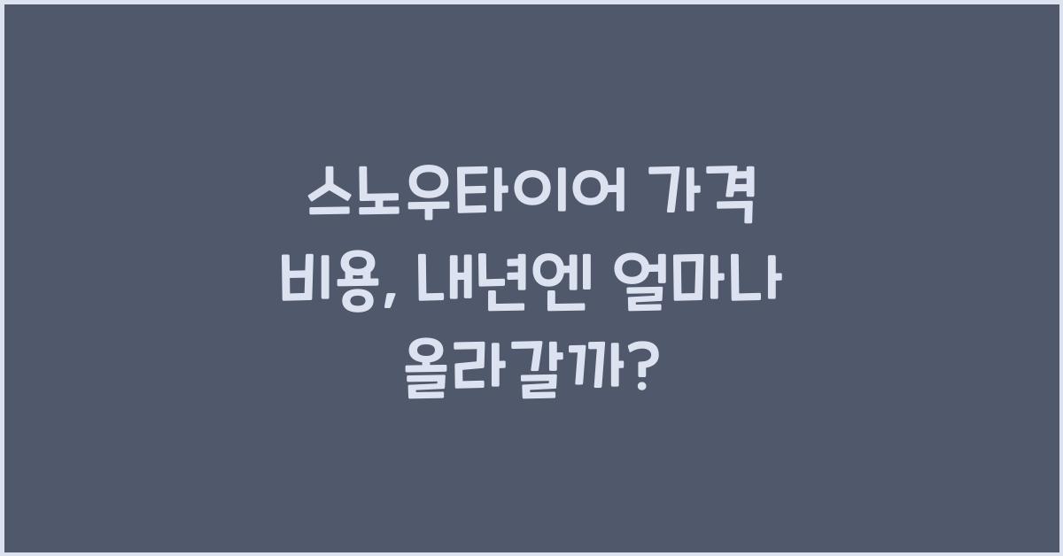 스노우타이어 가격 비용
