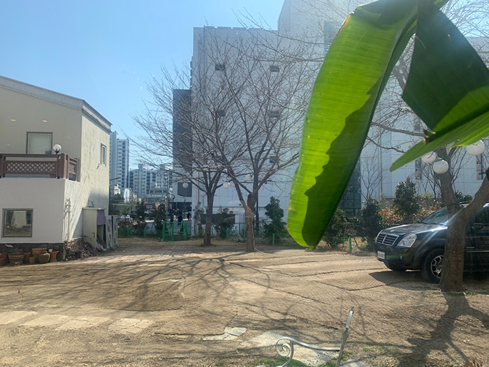 카페-놀곳-내부에서바라본-밖