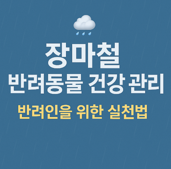 장마철 반려동물 건강관리