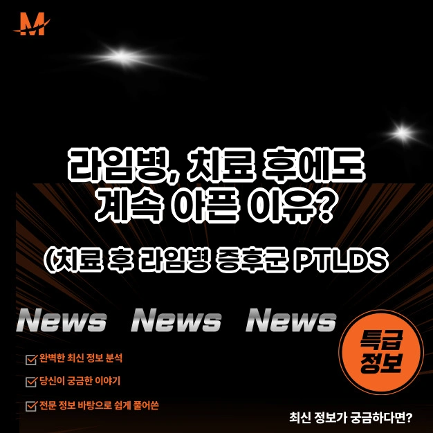 라임병, 치료