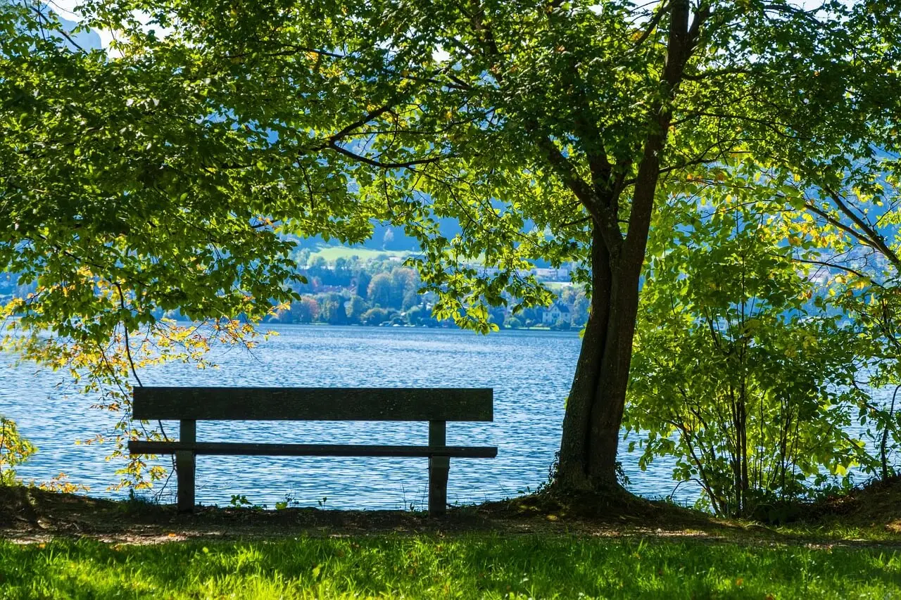 숲나들e 취소표 알림 &amp; 잔여석 대기&amp;#44; 고수들의 예약 비법 