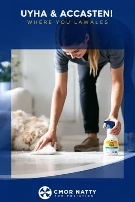 배변 실수 예방 팁