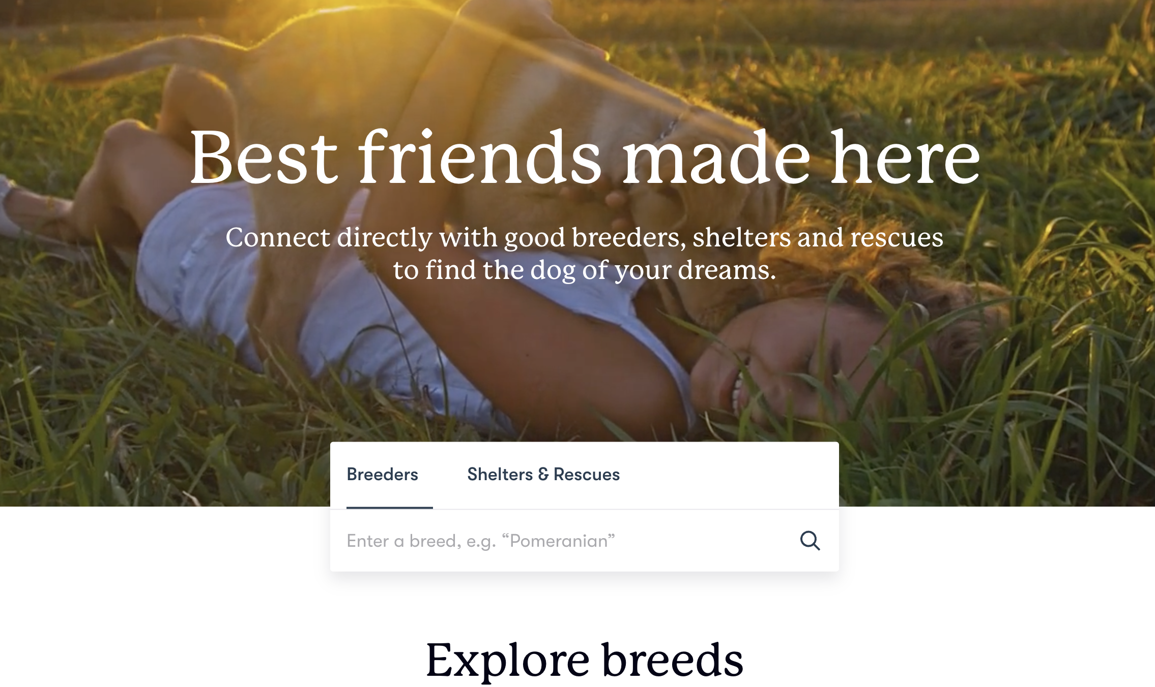 굿도그 웹사이트 이미지