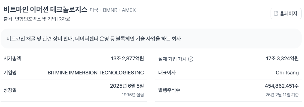 비트마인 이머션 테크놀로지스 소개