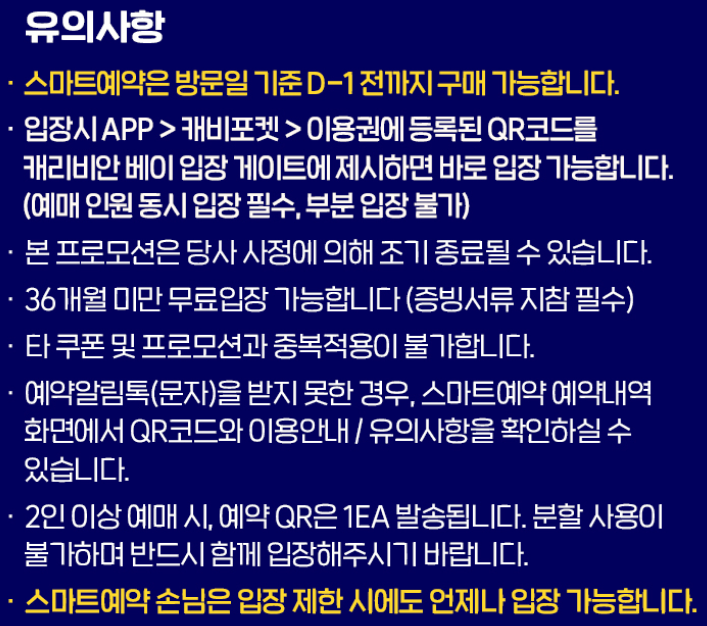 캐리비안 베이 가족 패키지 할인