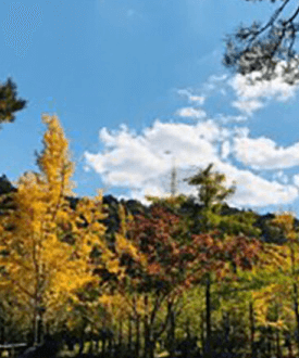 단풍여행 1박2일 버스여행 단풍구경