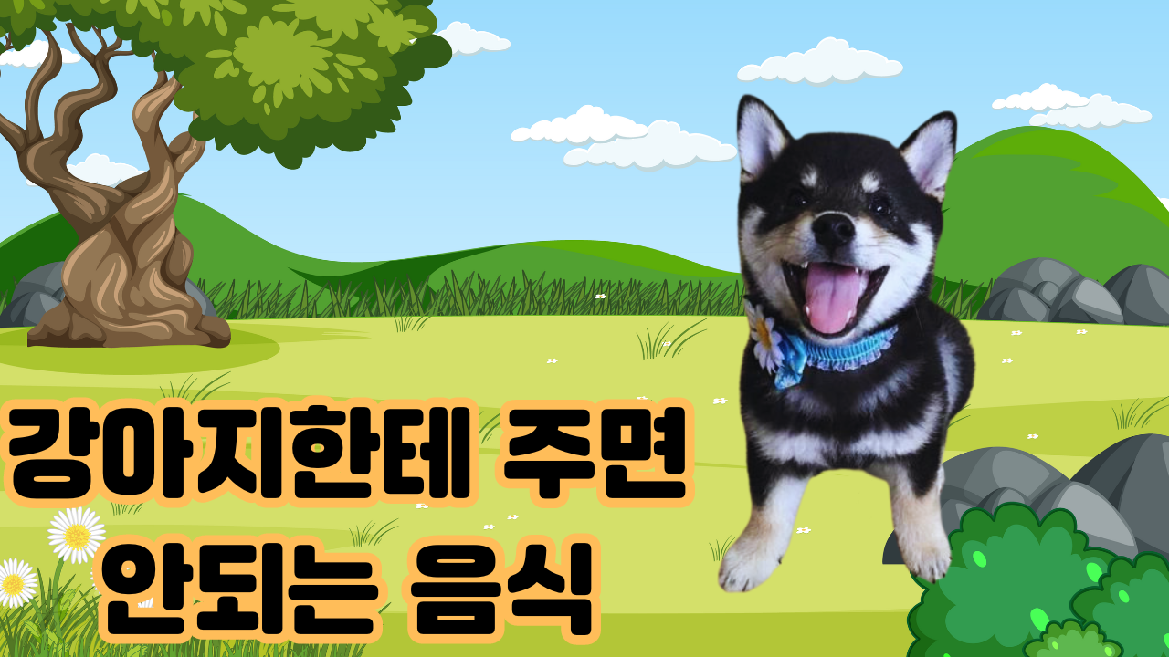 강아지한테 주면 안되는 음식