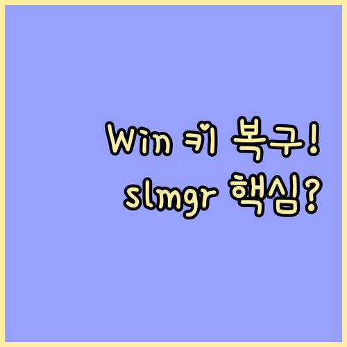 CMD 명령어 slmgr을 활용한 인..