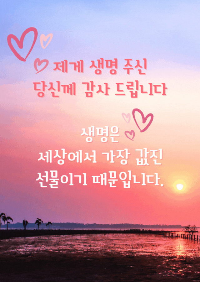 분홍빛 저녁노을 아래 생명의 소중함에 감사를 전하는 감성 기도문