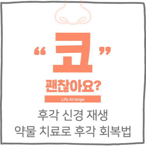 후각 신경 재생