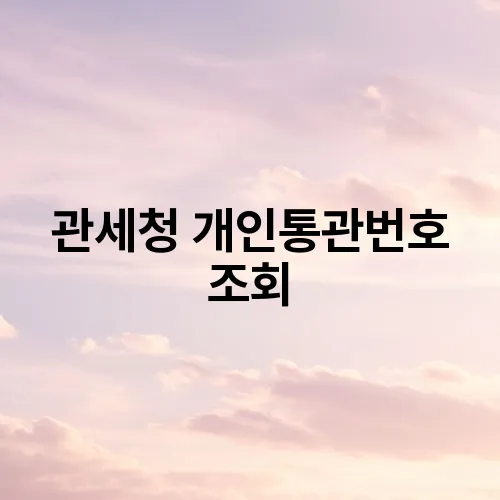 관세청 개인통관번호 조회