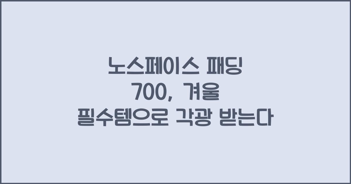 노스페이스 패딩 700