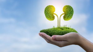 이 증상 요로결석? 혈뇨 옆구리 통증 위험