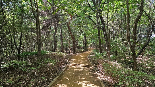 고덕산 자락길