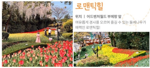 대구_이월드_튤립트래블축제