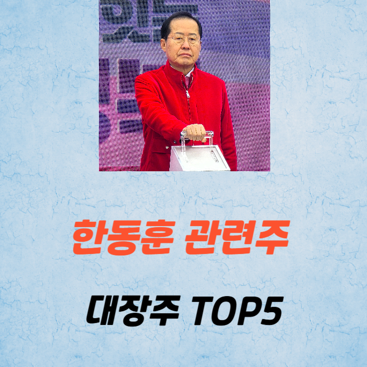 홍준표 관련주 대장주 테마주 수혜주 TOP5