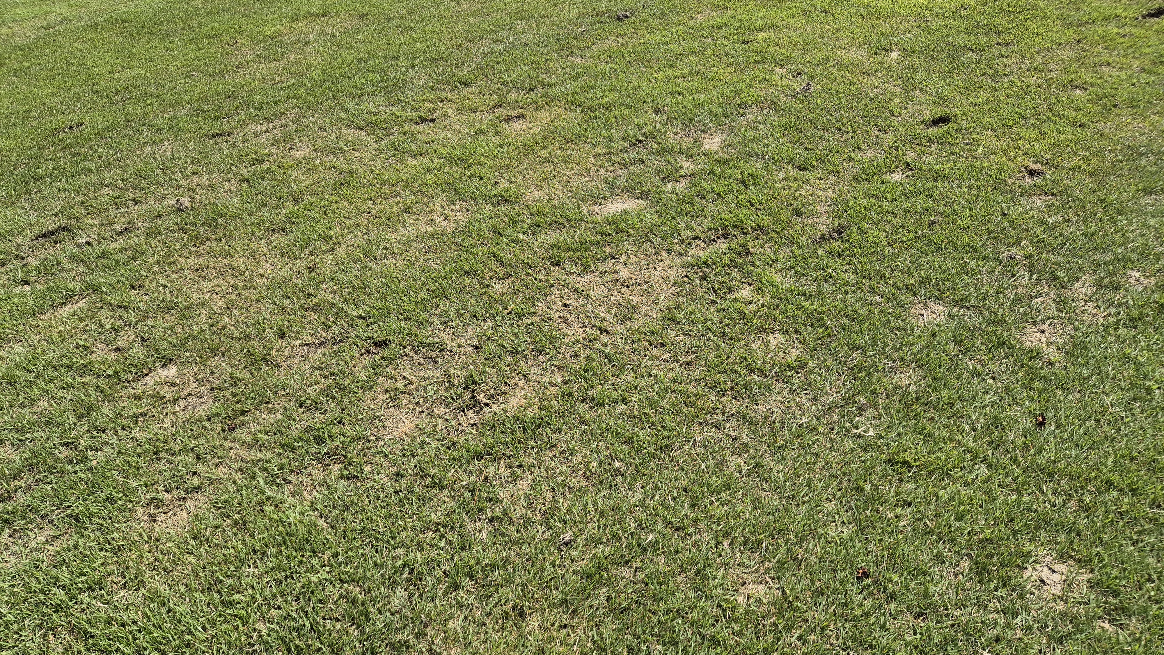 한원cc 라운드후기