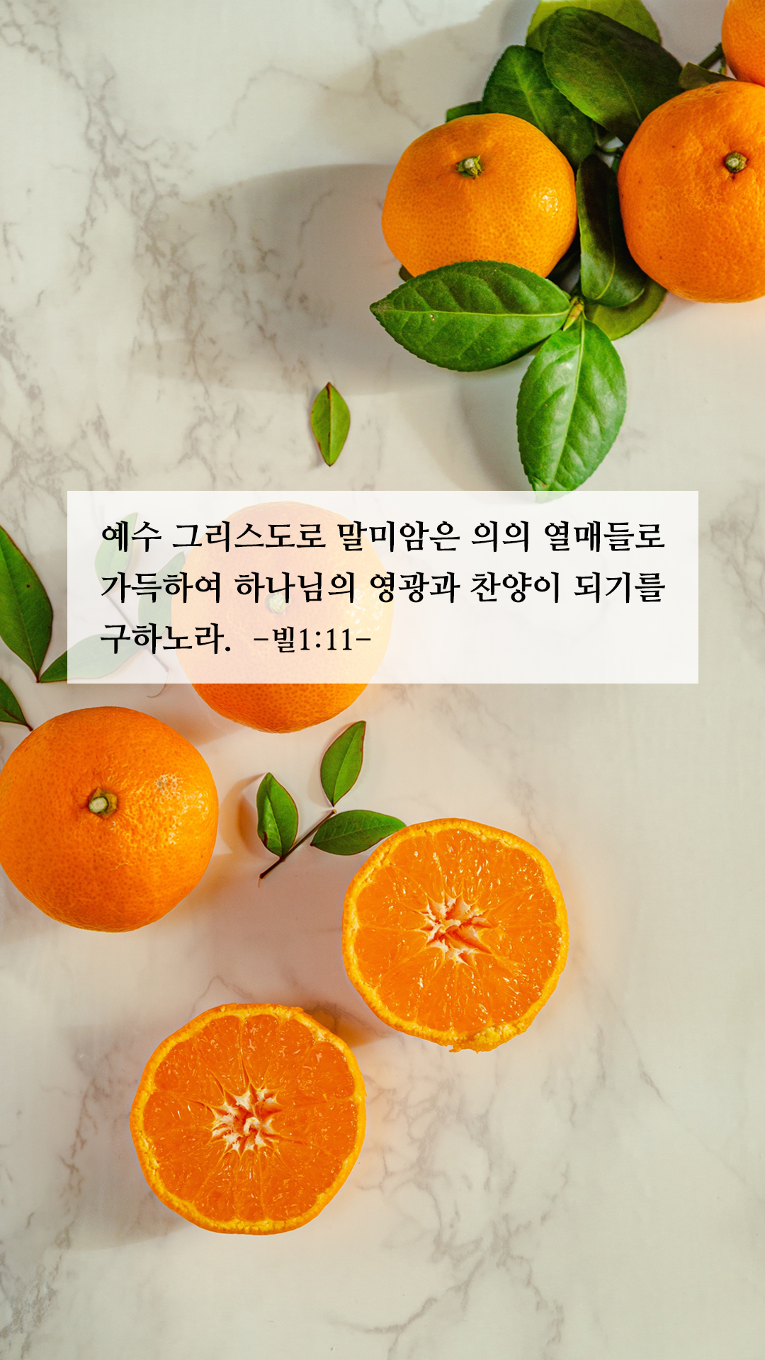 좋은 성경 구절