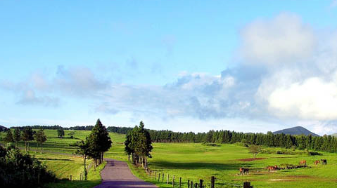 9월 제주도 가볼만한 곳 BEST 10 (할인 꿀팁!)