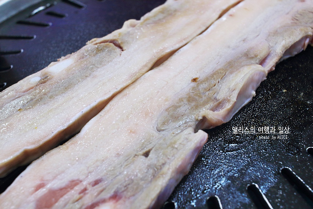 제주 앨리스 앤 트렁크 호텔 주변 제주공항 근처 가볼만한곳 BEST 10