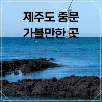 제주 가볼만한곳 맛집 카페 추천 겨울 현지인 코스_13