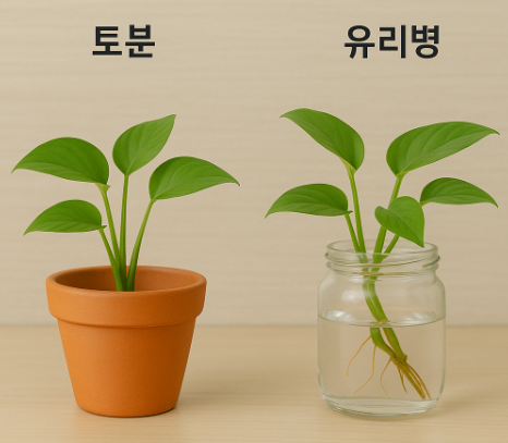 토분과 유리병, 수경재배 용기 사진