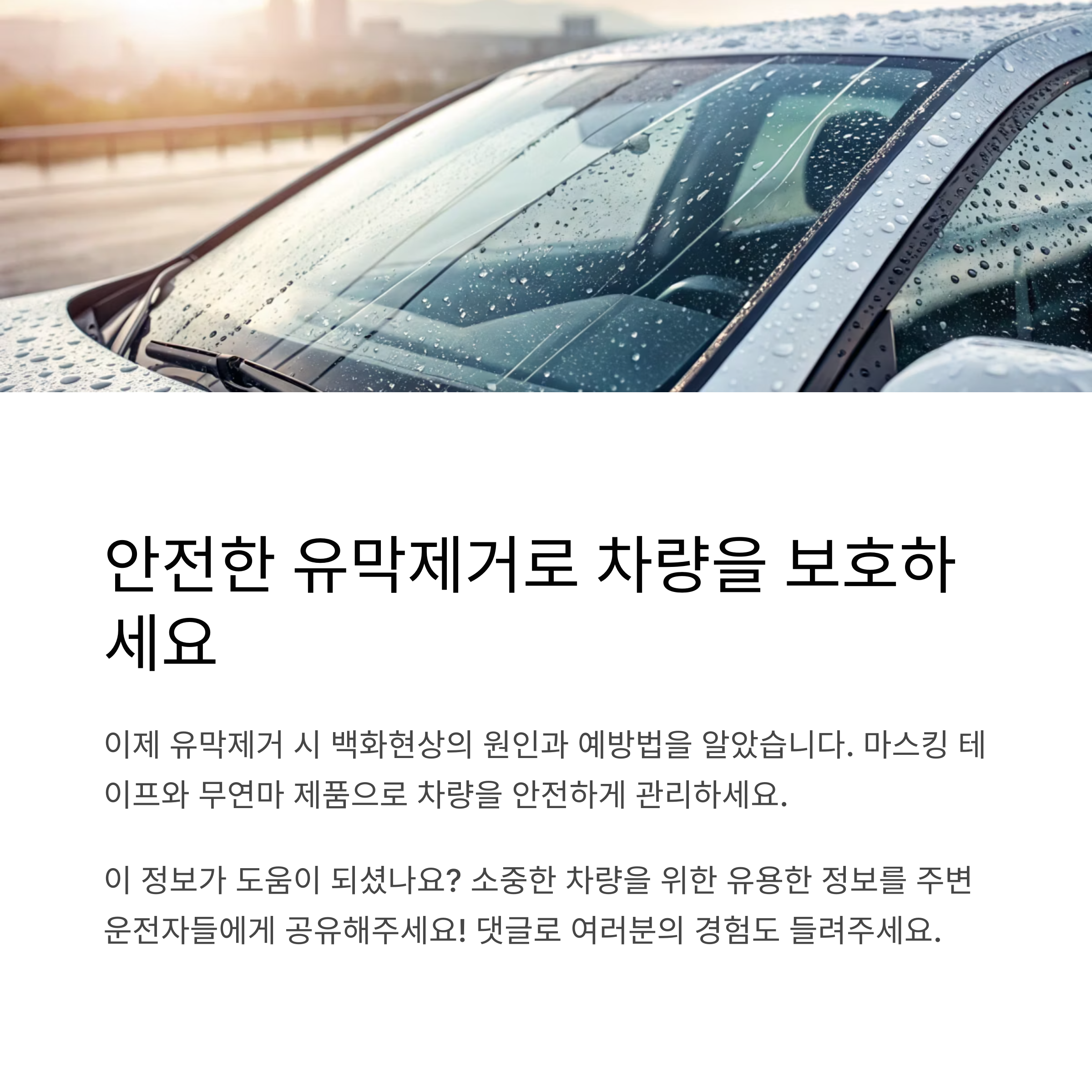 자동차 유막제거