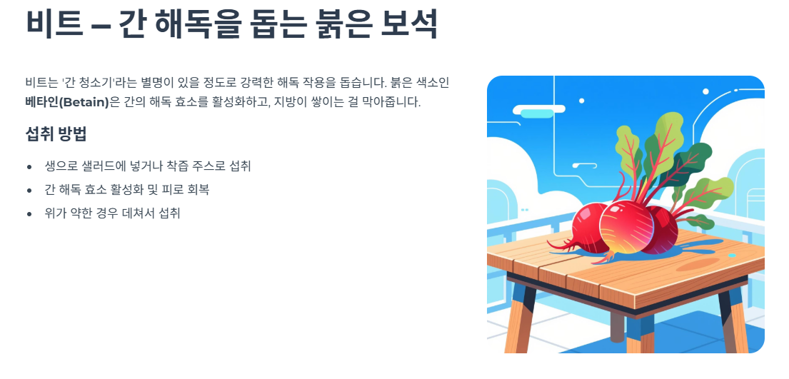 비트 — 간 해독을 돕는 붉은 보석