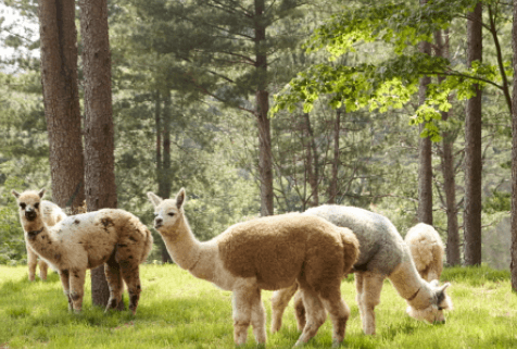 어린이날 가볼만한곳