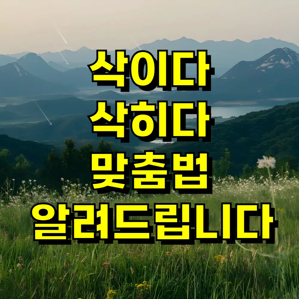 삭이다 삭히다 맞춤법 알려드립니다