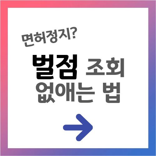 면허정지? 벌점 조회 및 없애는 법