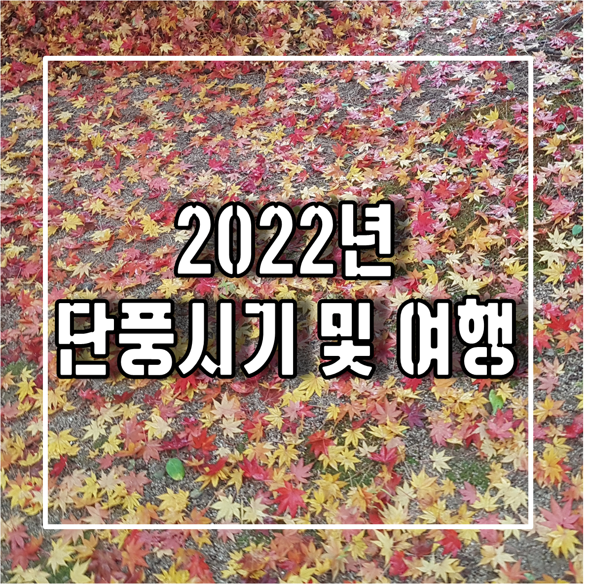 2022 가을 단풍 시기와 국내 단풍 여행 추천