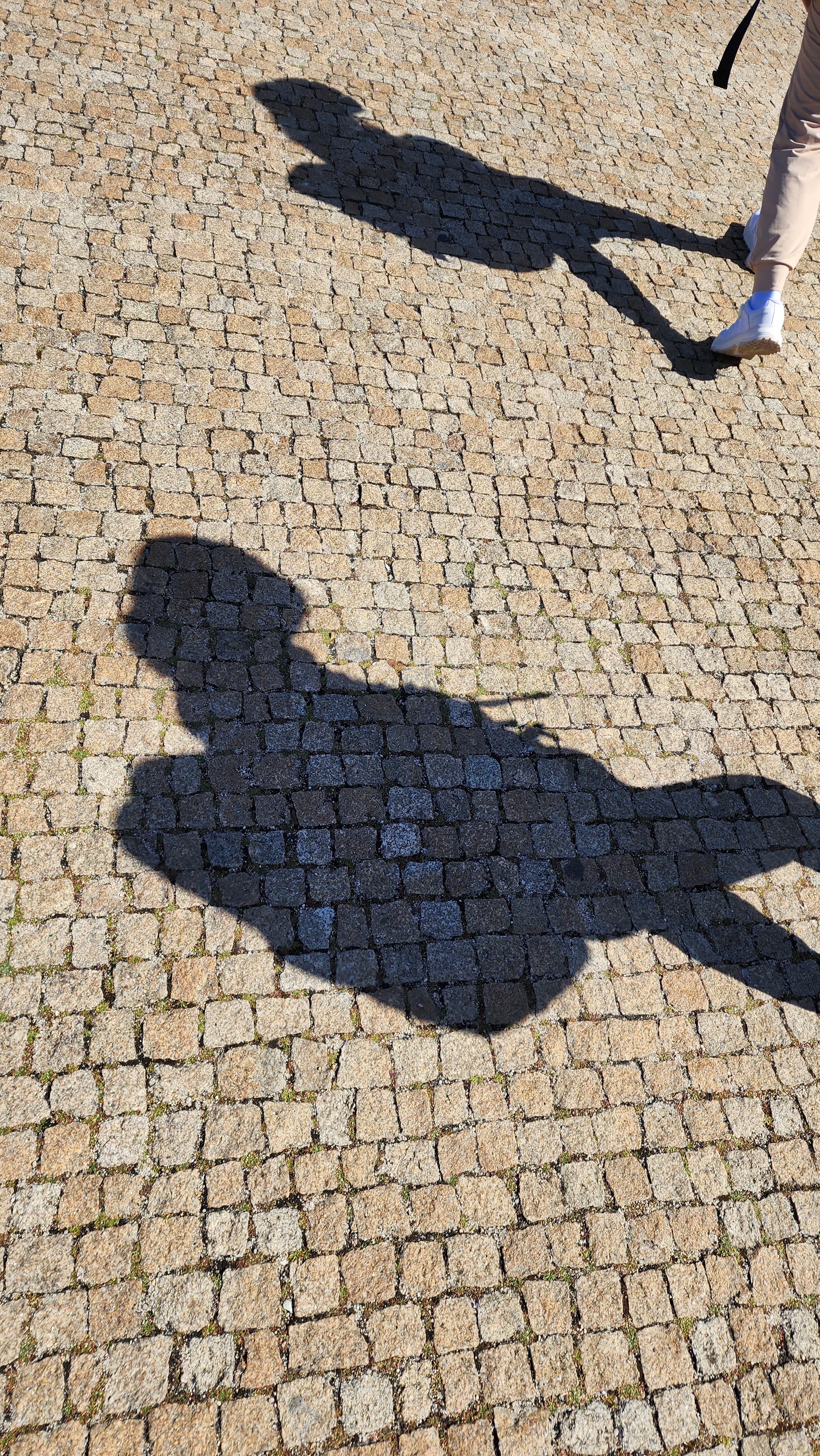 까미노 포르투게스 길을 걷는 딸들의 그림자, 순례길 2일차