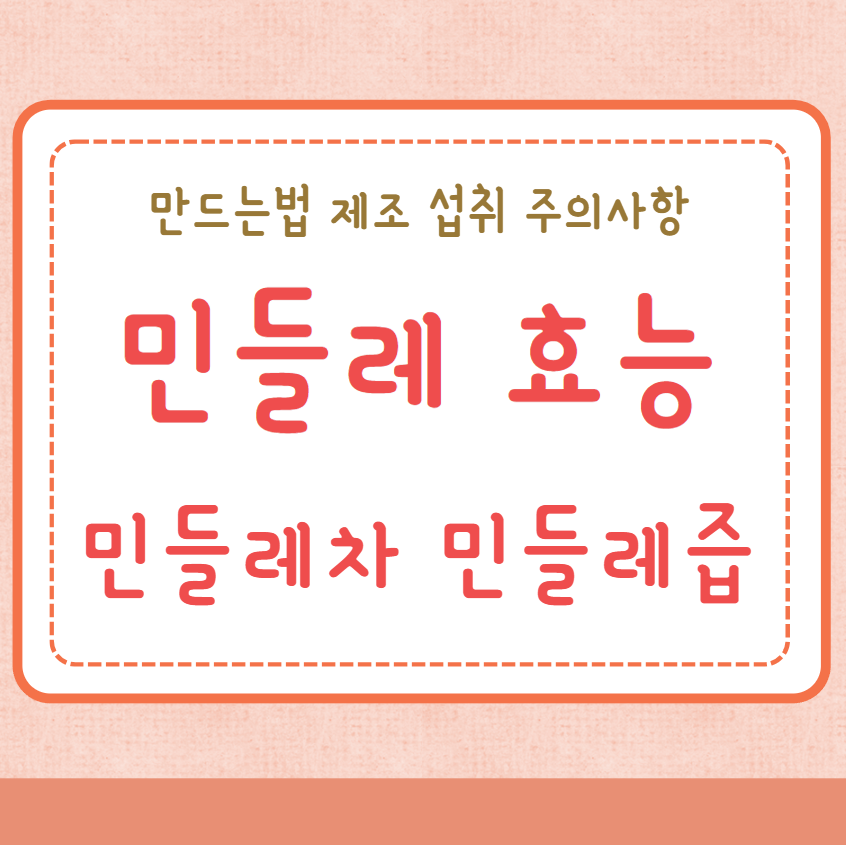 민들레 효능 민들레차 민들레즙
