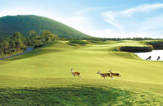 인기 골프장! 제주도 '클럽나인브릿지' 골프장 소개