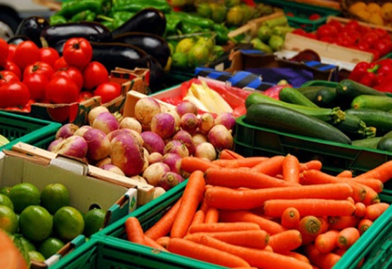 2025 무칼로리 간식 추천