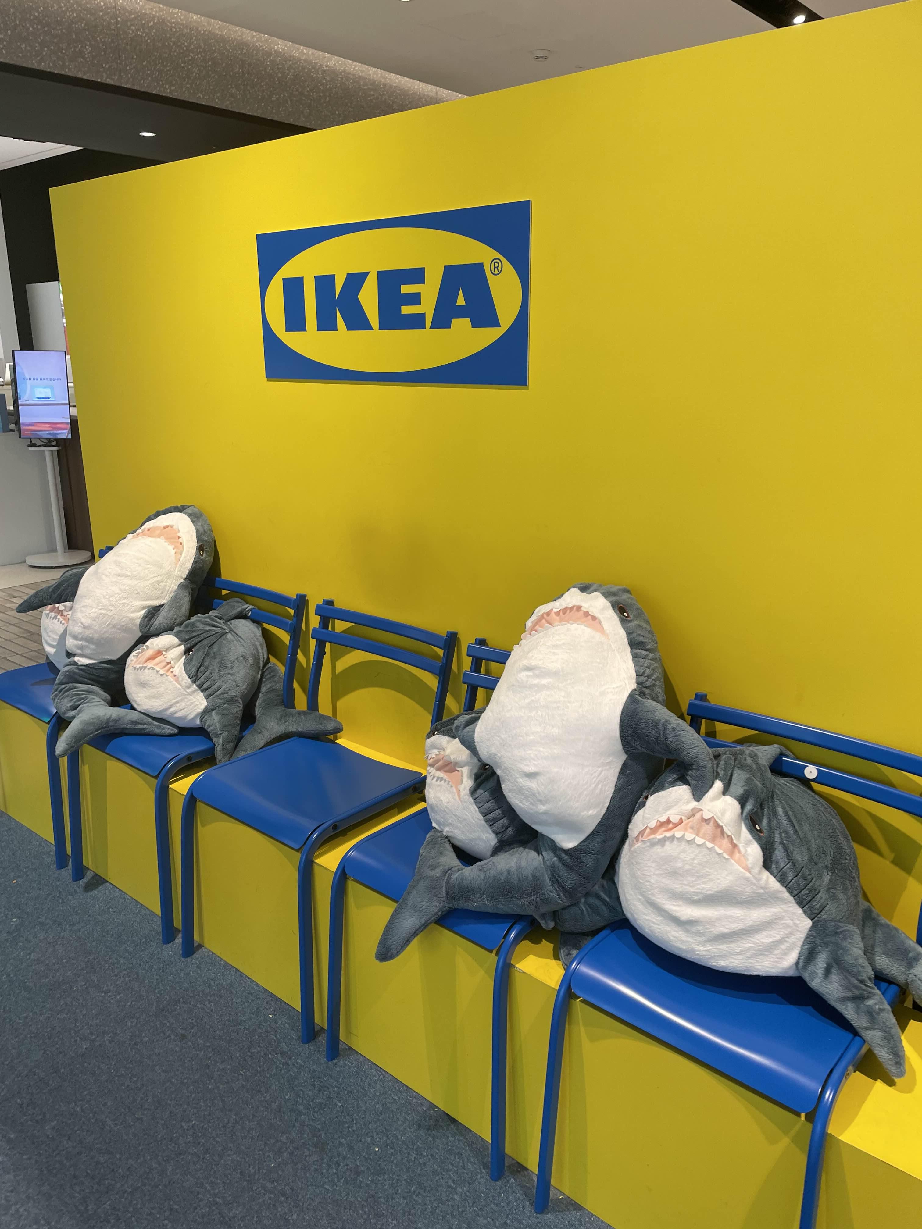 더현대 이케아팝업스토어 매장전경