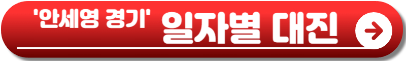 안세영 배드민턴