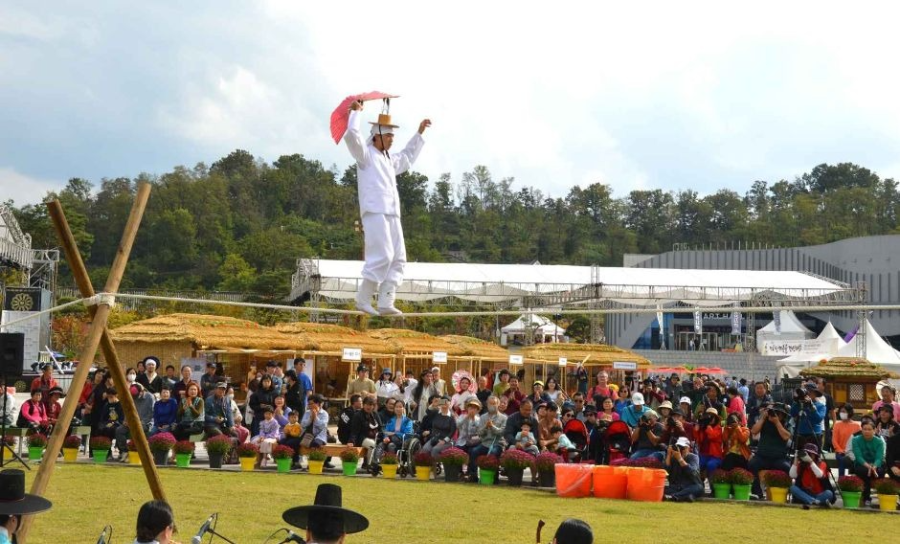 금산 인삼축제 교통편 & 접근성