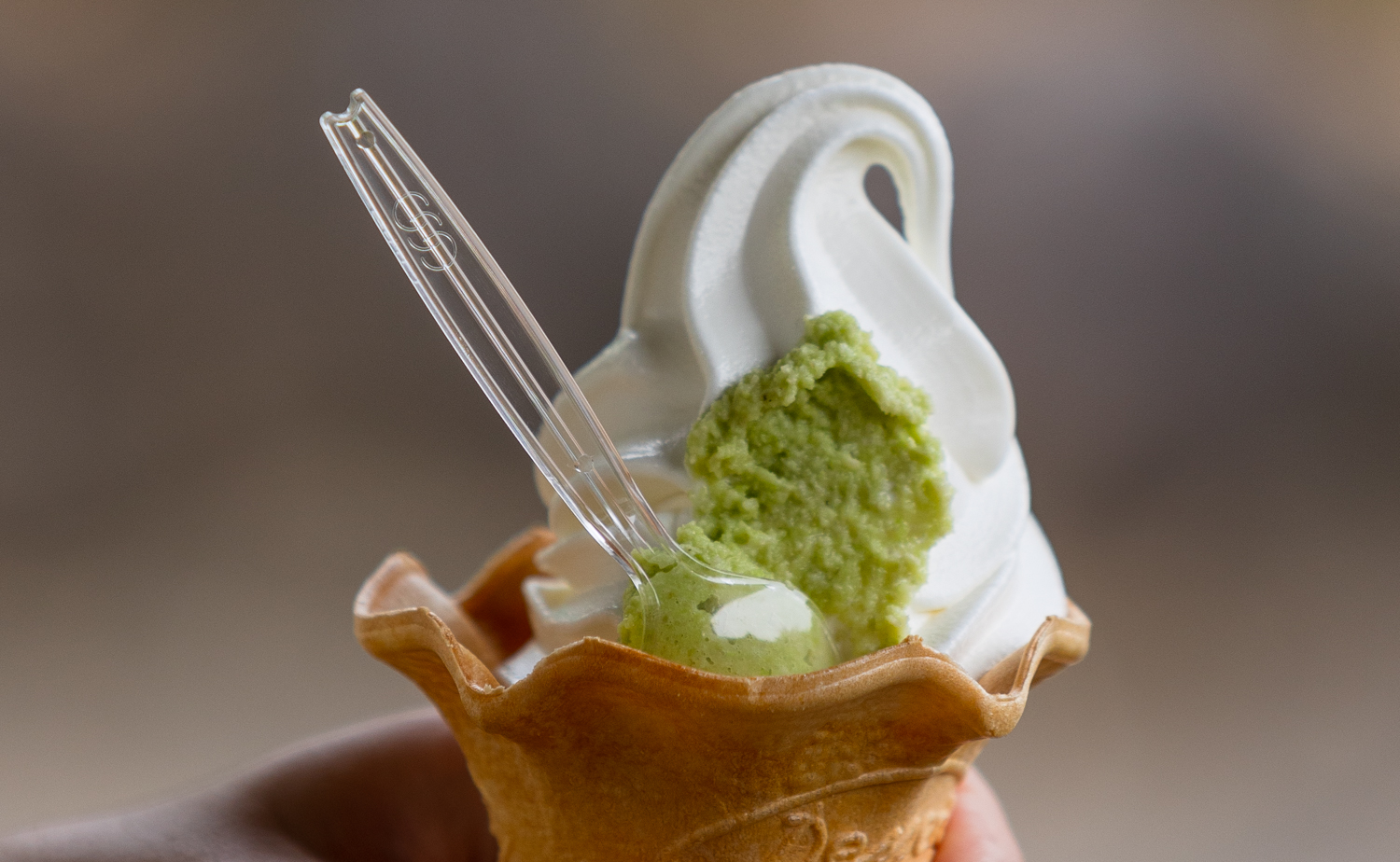 와사비 아이스크림