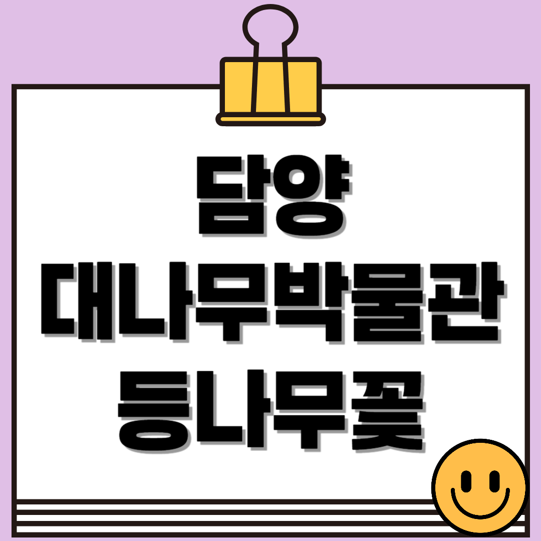 담양 한국대나무박물관 방문 꿀팁: 위치, 관람정보, 등나무꽃 포인트 총정리