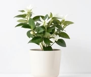 청소년 바우처 아동 청소년 바우처 심리바우처 지원 개편안