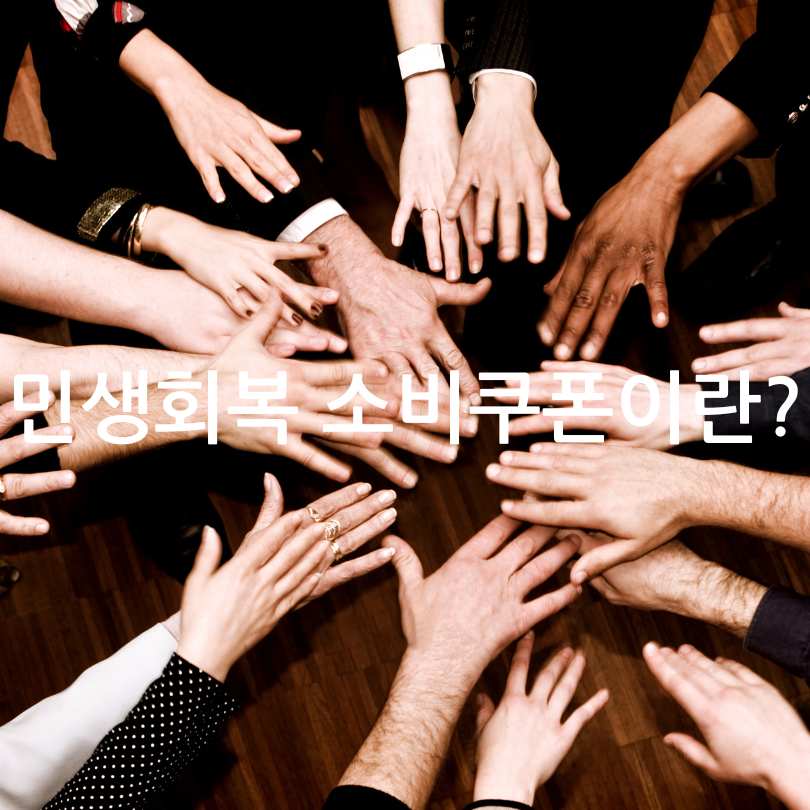 민생회복 소비쿠폰 사용처