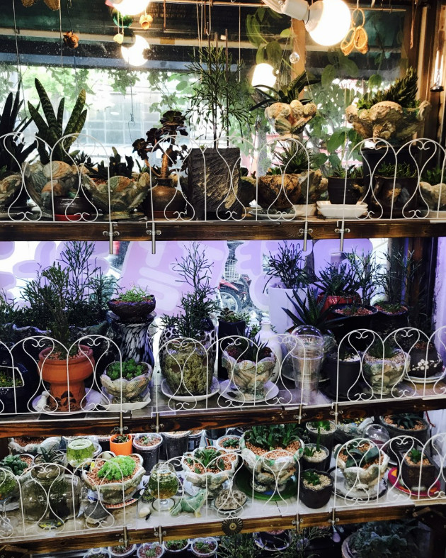 동네한바퀴 동작구 팥칼국수 팥요리