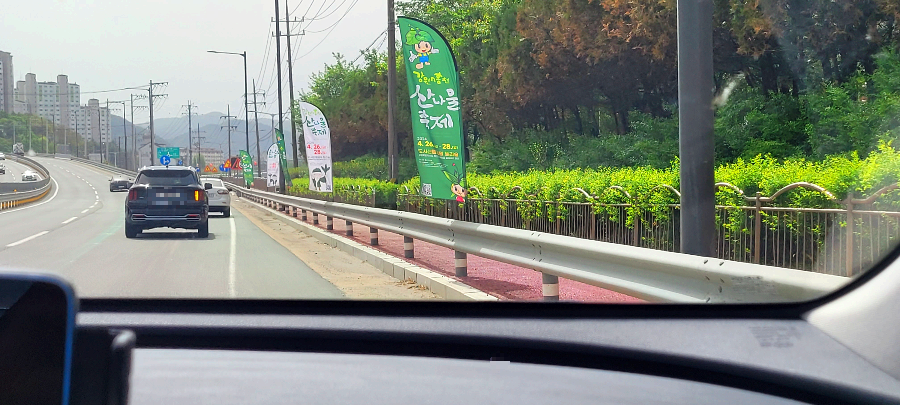 홍천 산나물축제 현수막