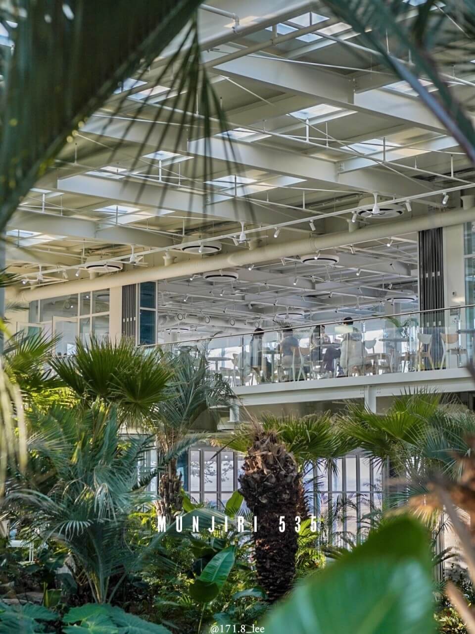 오늘N 소문난 그곳N 파주 식물원 감성 카페 문지리535 파주여행 오늘N2499회