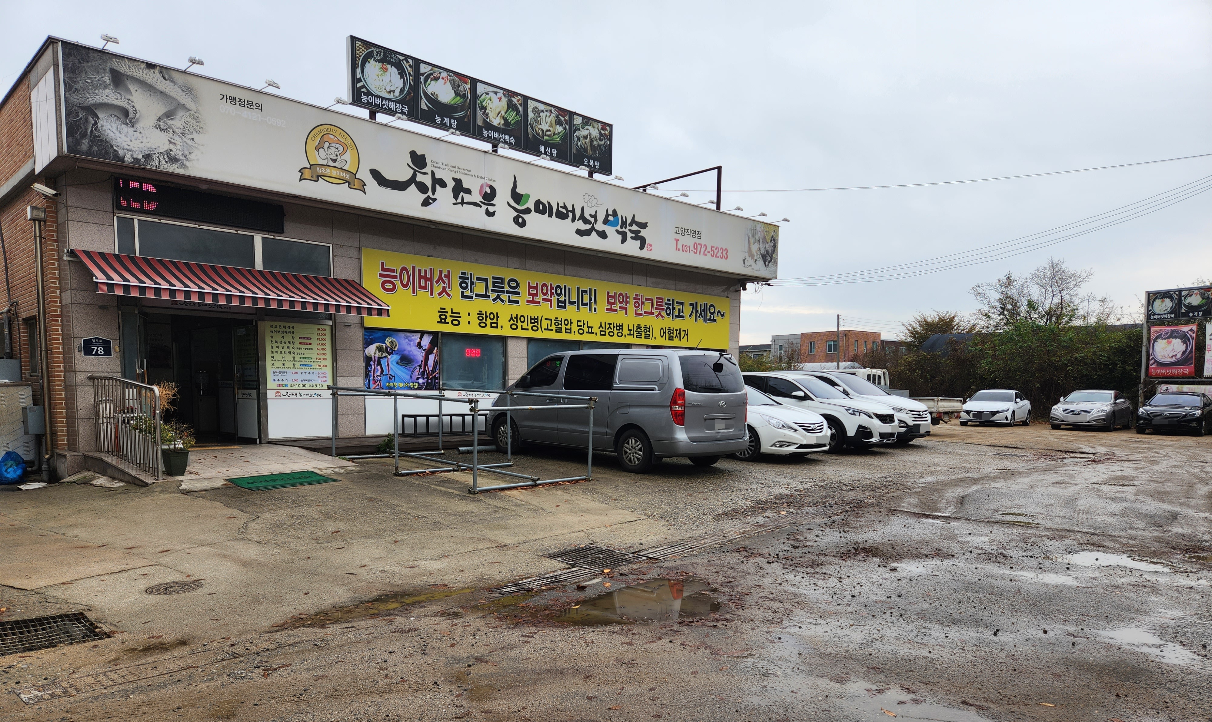 참조은능이버섯백숙