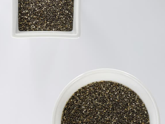 혈당 상승 억제 치아씨드