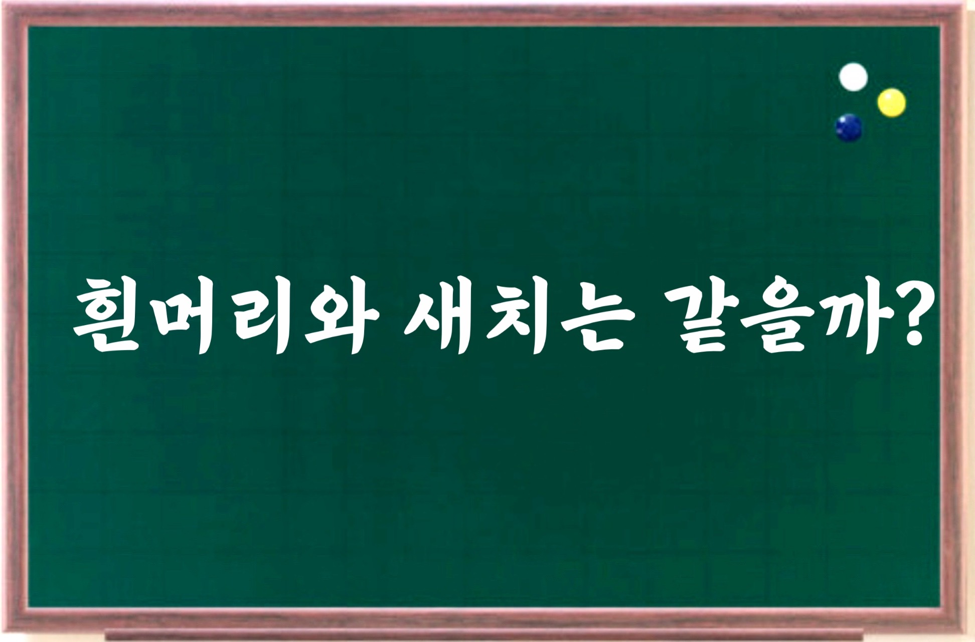 흰머리와-새치는-같을까?