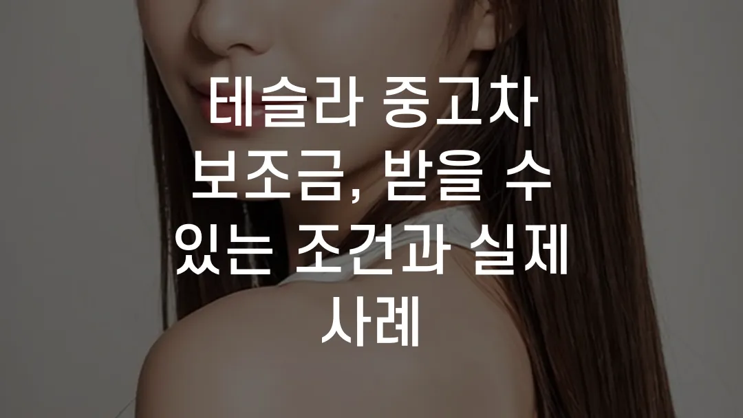 테슬라 중고차 보조금, 받을 수 있는 조건과 실제 사례